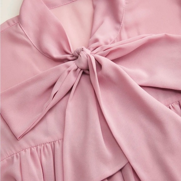 Cider Blush Long Sleeve Dress with Bow - Picture 3 of 5